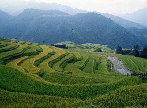 行走在舜皇山上