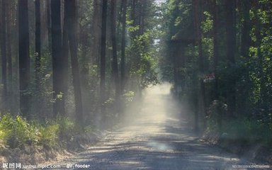 奇书散文 那年今日 1