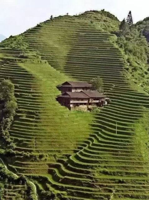 茶与水的情缘